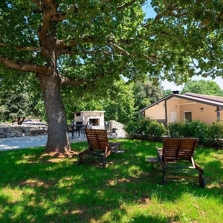Villa Old Oak Holiday House à Rovinj Extérieur photo